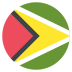 flag: Guyana on platform EmojiTwo
