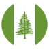 flag: Norfolk Island on platform EmojiTwo