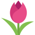 tulip on platform EmojiTwo