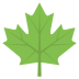 maple leaf on platform EmojiTwo