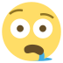 drooling face on platform EmojiTwo