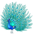 peacock on platform Emojipedia