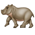 hippopotamus on platform Emojipedia