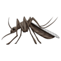 mosquito on platform Emojipedia