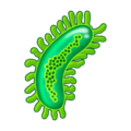 microbe on platform Emojipedia