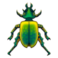 beetle on platform Emojipedia