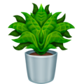 potted plant on platform Emojipedia