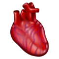 anatomical heart on platform Emojipedia