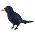 black bird on platform Emojipedia