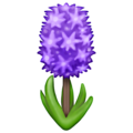 hyacinth on platform Emojipedia