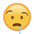 drooling face on platform Emojipedia