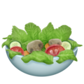 green salad on platform Emojipedia
