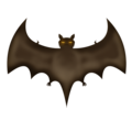 🦇