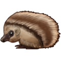 hedgehog on platform Emojipedia