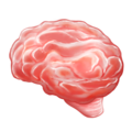 brain on platform Emojipedia