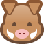 boar on platform Facebook