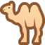 two-hump camel on platform Facebook