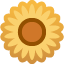sunflower on platform Facebook