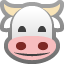 cow face on platform Facebook