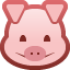 pig on platform Facebook