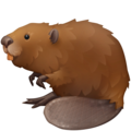 beaver on platform Facebook
