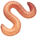 worm on platform Facebook