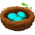 nest with eggs on platform Facebook