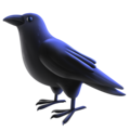 black bird on platform Facebook