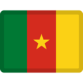 flag: Cameroon on platform Facebook