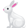 rabbit on platform Facebook