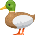 duck on platform Facebook