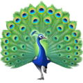 peacock on platform Facebook