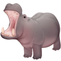 hippopotamus on platform Facebook