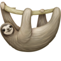 sloth on platform Facebook