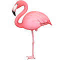 flamingo on platform Facebook