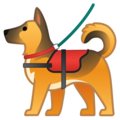 service dog on platform Google