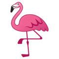 flamingo on platform Google