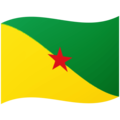 flag: French Guiana on platform Google