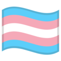 transgender flag on platform Google