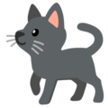 black cat on platform Google
