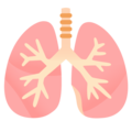 lungs on platform Google