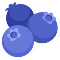blueberries on platform Google