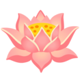lotus on platform Google