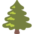 evergreen tree on platform Google