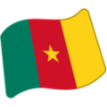 flag: Cameroon on platform Google