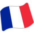 flag: France on platform Google
