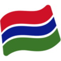 flag: Gambia on platform Google
