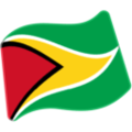 flag: Guyana on platform Google