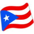 flag: Puerto Rico on platform Google