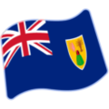 flag: Turks & Caicos Islands on platform Google